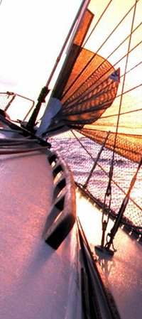 wind in the sails