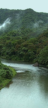 Fiji-rainforest-river-panel-200px