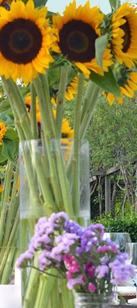 garden-party-panel-200px